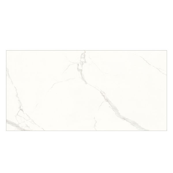FP12202ST