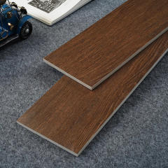WL92206