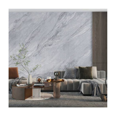 PS264820P80B