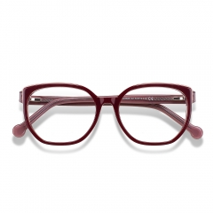 A23806
