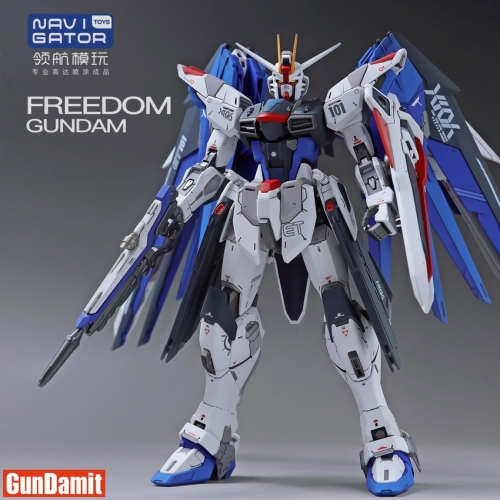 Navigator Toys Pre-Painted Freedom Gundam ZGMF-X10A | GunDamit.com