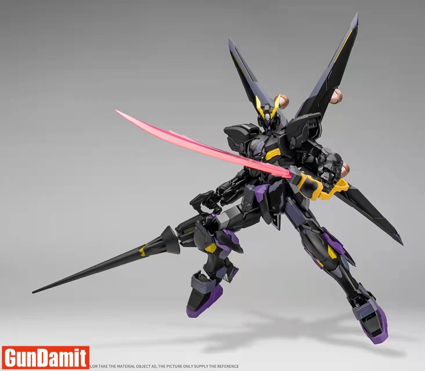 Devil Hunter 1/100 YY-03B Black Flag Project X1 Crossbone Gundam Black  Version - GunDamit Store