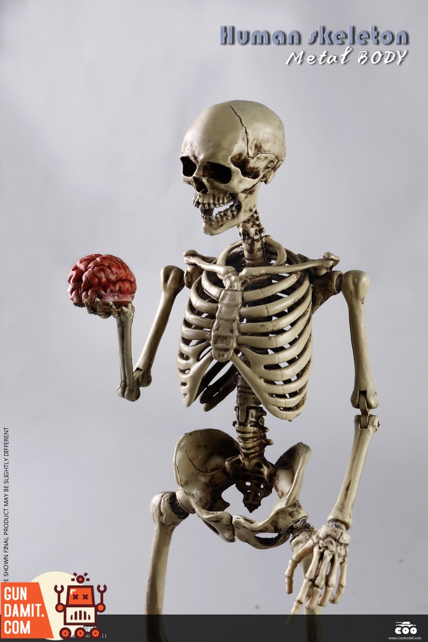 COOMODEL 1/6 BS011 Human Skeleton Metal Body Figure | GunDamit.com