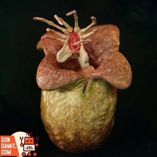 ASTOYS 1/6 AS-073A Xenomorph Egg 2.0 Brown | GunDamit.com