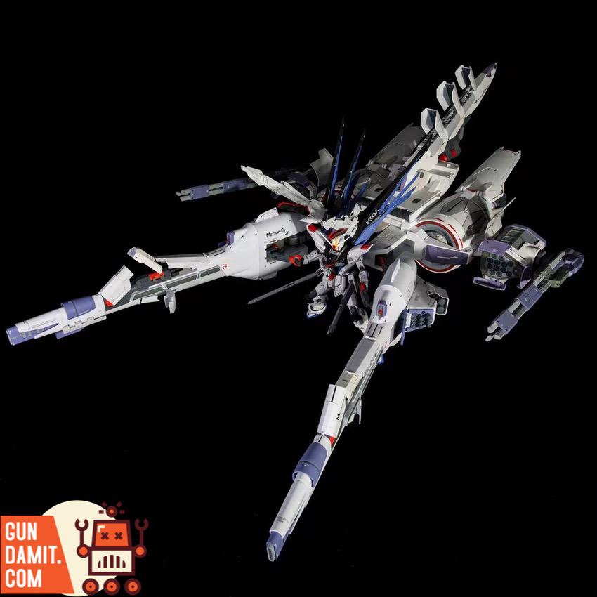 Hammer Cat GK SEED Mobile Suit Embedded Tactical Enforcer for MG 1/100 ZGMF-X10A Freedom Gundam