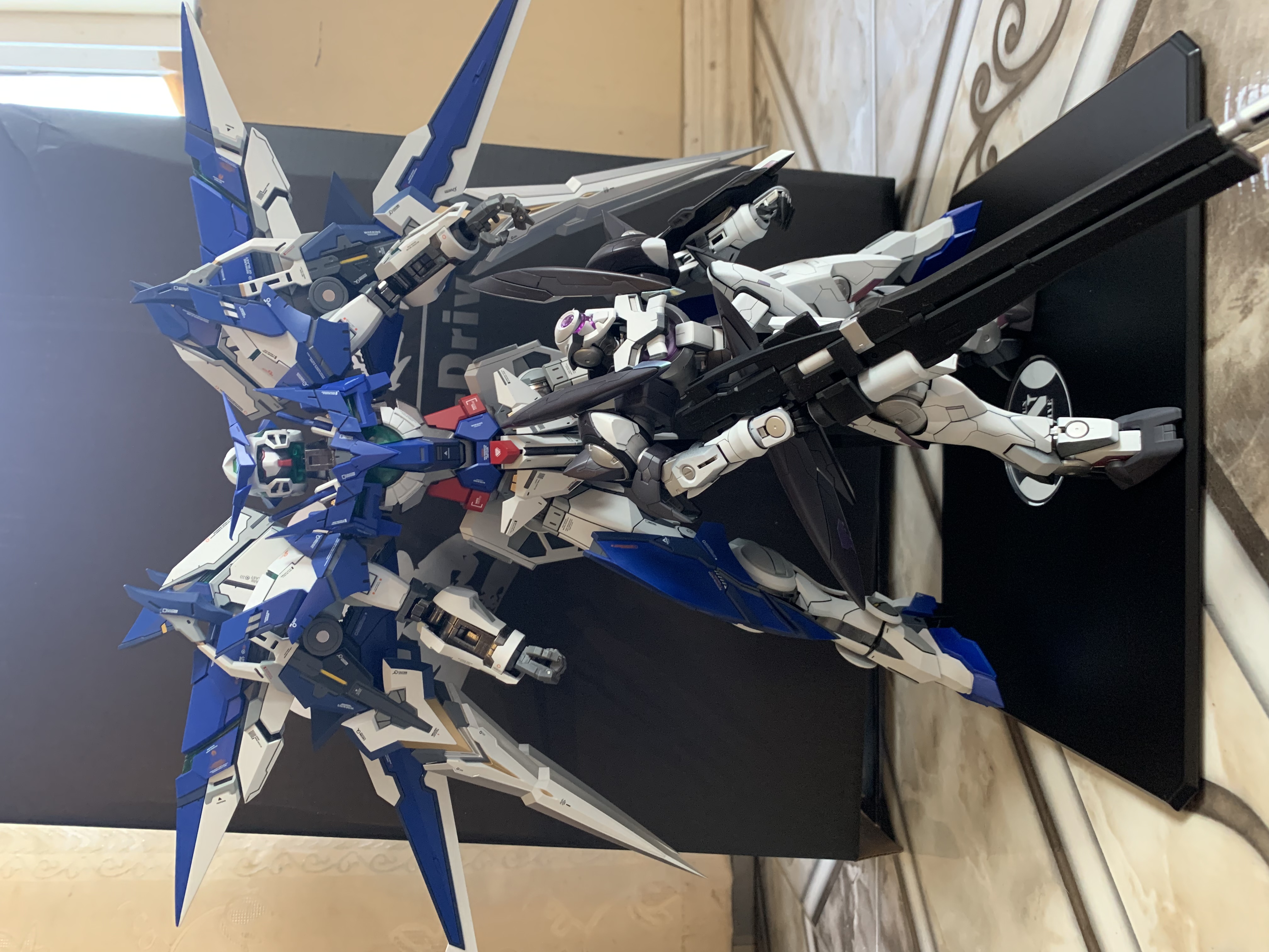 Steel Legend 1/60 PPGN-001 Gundam Amazing Exia - GunDamit Store