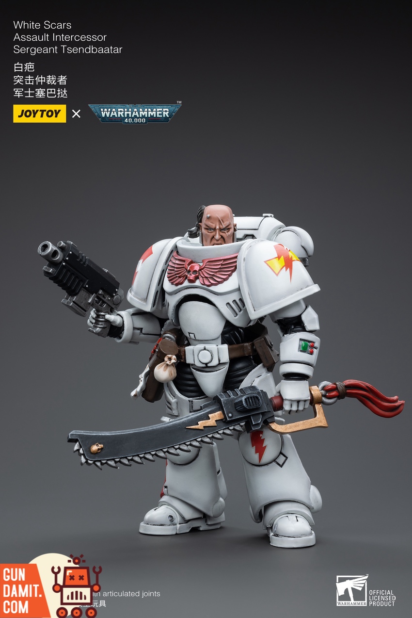 JoyToy Warhammer 40K White Scars Assault Intercessor hotsell Sergeant TSENDBAATAR Figure