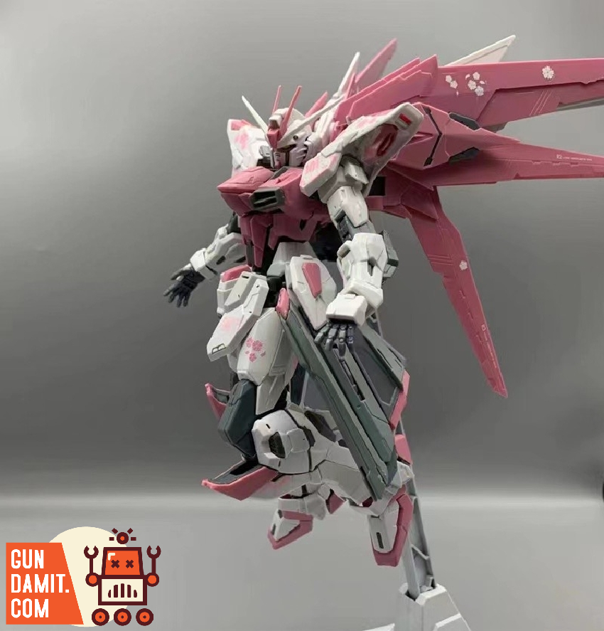 Daban 1/100 6650 MG ZGMF-X10A Sakura Pink Freedom Gundam 2.0