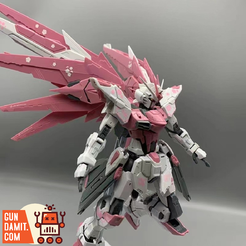 Daban 1/100 MG Sakura Pink Freedom Gundam 2.0 Kit | GunDamit.com