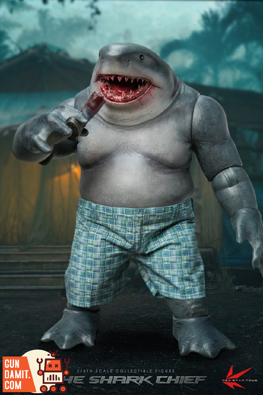 シャーク frag shark シャーク frag shark What is the curious