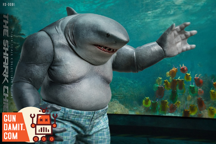 シャーク frag shark シャーク frag shark シャーク frag shark Animal Adventure