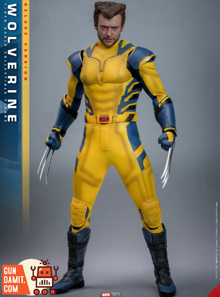 Hot Toys 1/6 MMS754 Deadpool & Wolverine Wolverine Deluxe Version