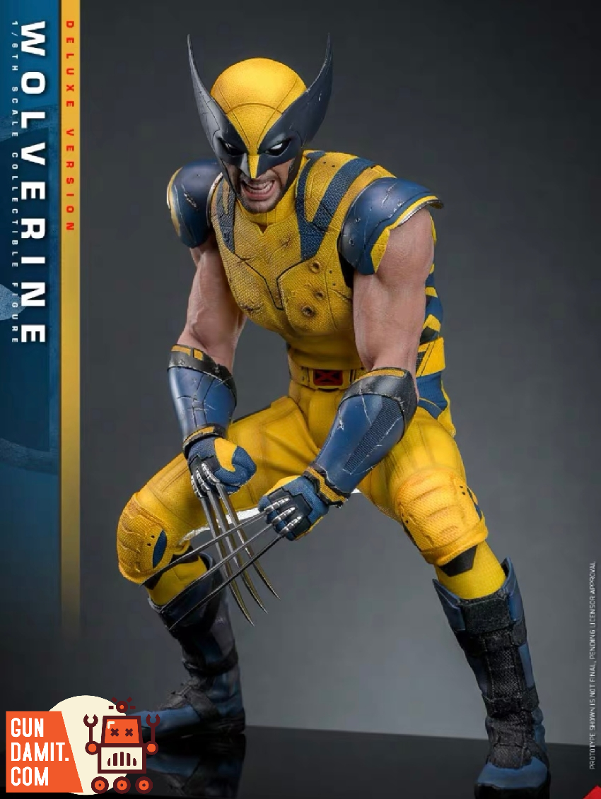Hot Toys 1/6 MMS754 Deadpool & Wolverine Wolverine Deluxe Version