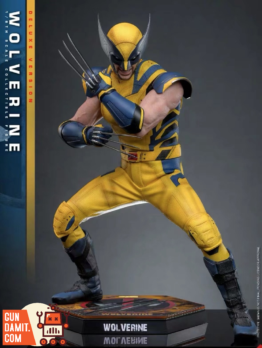 Hot Toys 1/6 MMS753 Deadpool & Wolverine Wolverine Standard