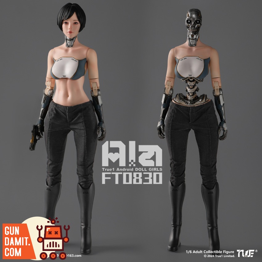 Reviews of True1Toys 1/6 FT0830 Android Ala