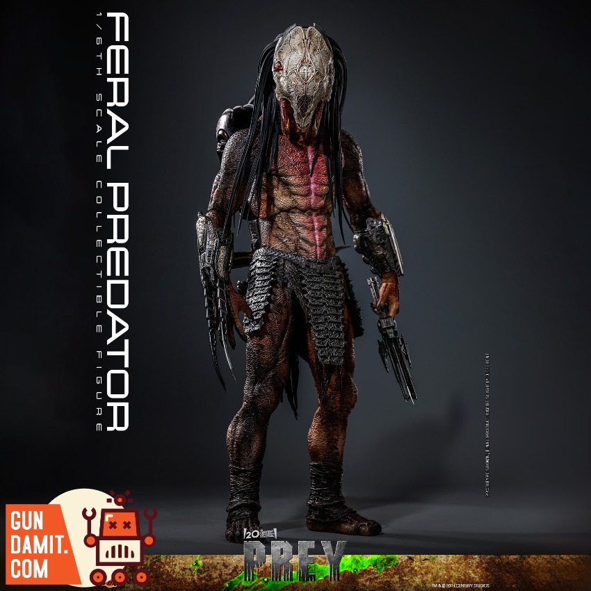 Reviews of HotToys 1/6 TMS114 Feral Predator