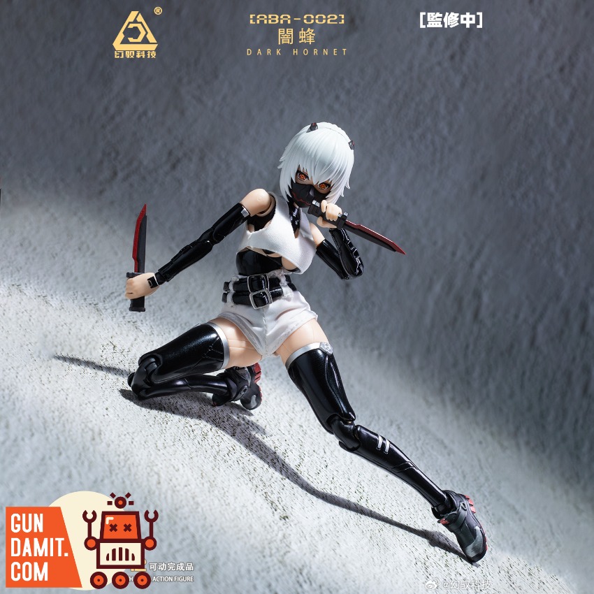 Reviews of Loscont 1/12 ABA-002 Armed Battle Angels Dark Hornet