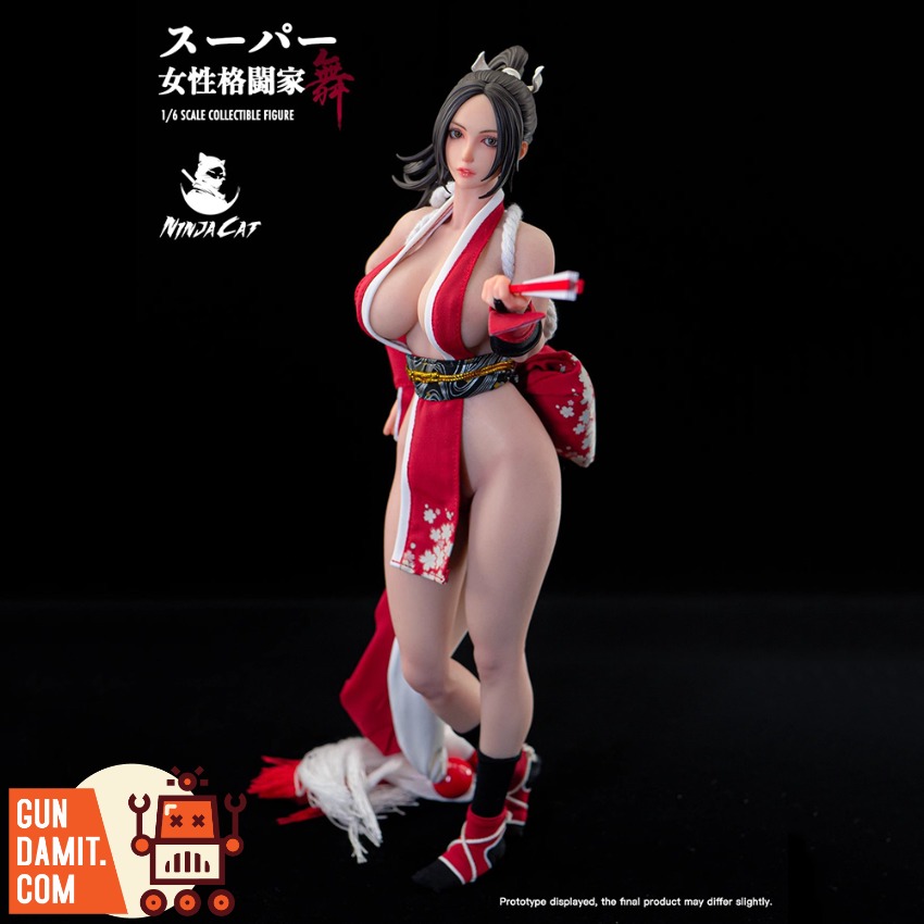 Reviews of Ninja Cat 1/6 N001 Female Fighter Mai Shiranui Reviews of Ninja Cat 1/6 N001 Female Fighter Mai Shiranui