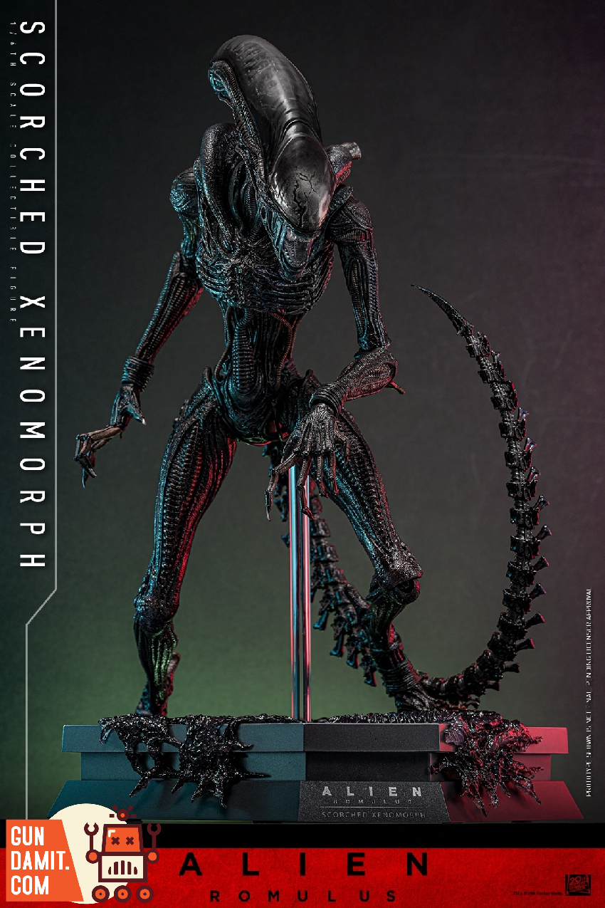 Hot Toys 1/6 MMS784 Alien: Romulus Scorched Xenomorph - GunDamit Store