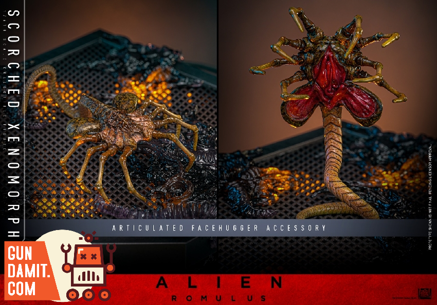 Hot Toys 1/6 MMS784 Alien: Romulus Scorched Xenomorph - GunDamit Store