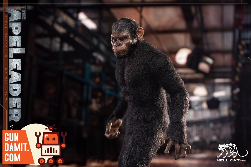 Hell Cat 1/6 DYM202402A Ape Leader A - GunDamit Store
