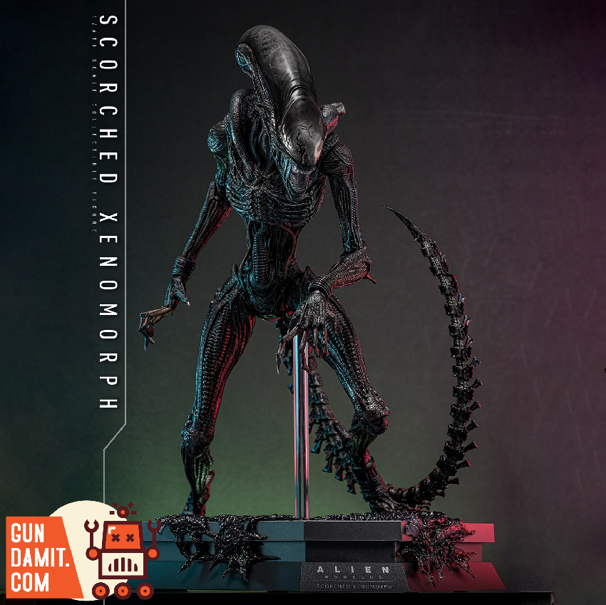 Hot Toys 1/6 MMS784 Alien: Romulus Scorched Xenomorph
