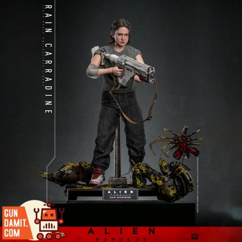 Hot Toys Action Figure | GunGamit