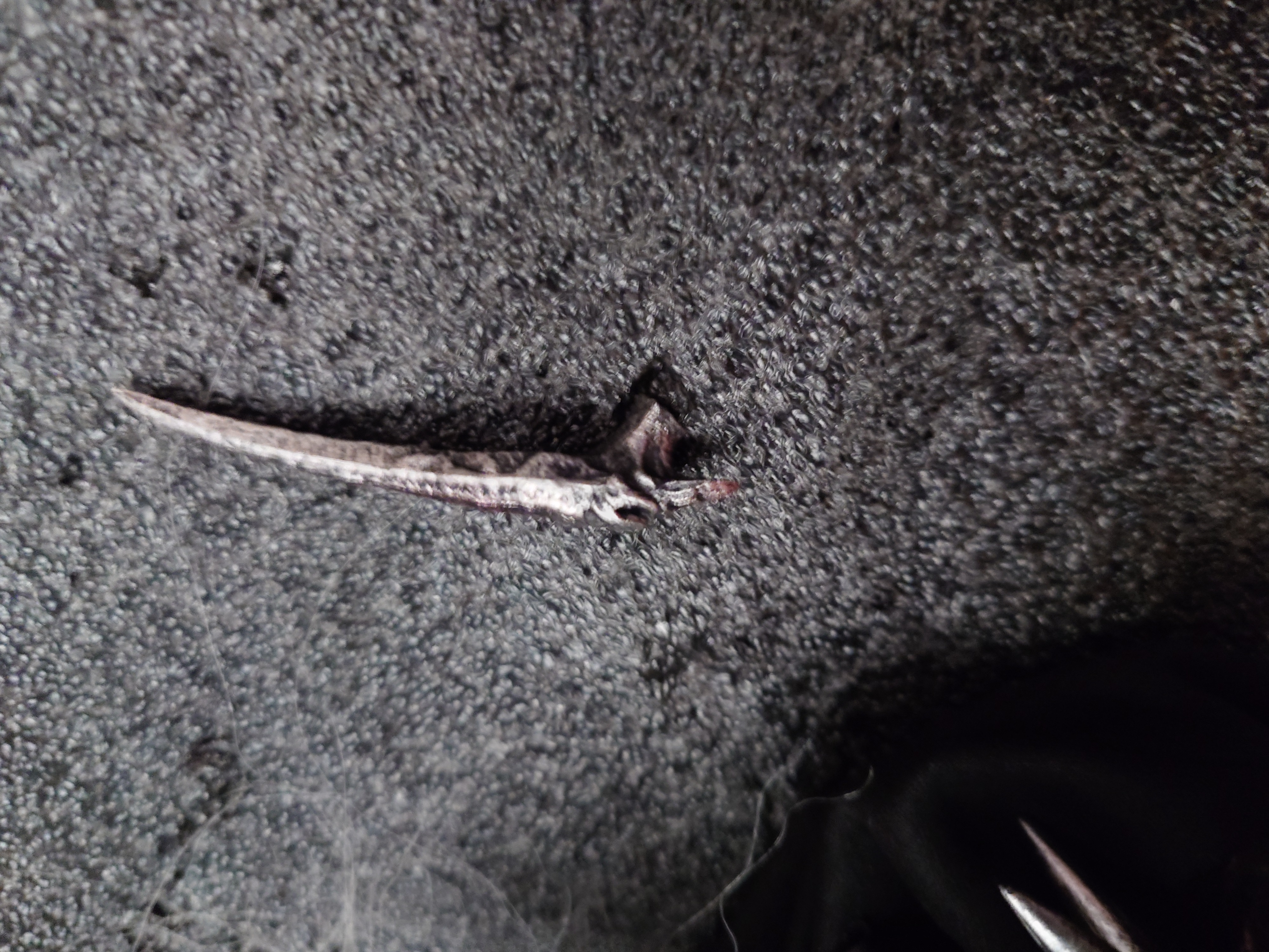 Reviews of 108 Toys 1/6 108007 Frozen Demon King Moving Doll