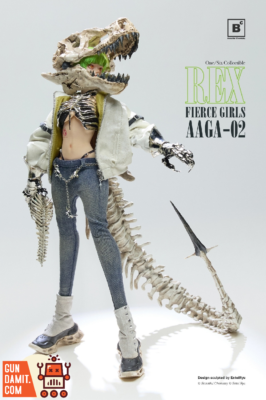 Beautiful Chemistry x Entei Ryu 1/6 UV202501 Fierce Girls