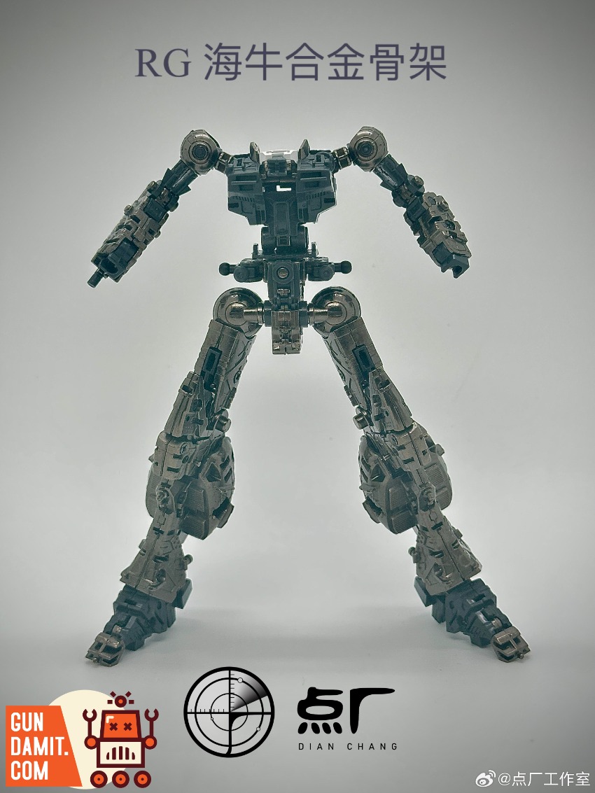 Raccoon 1/100 Wing Kit for MG Strike Freedom Gundam | GunDamit.com