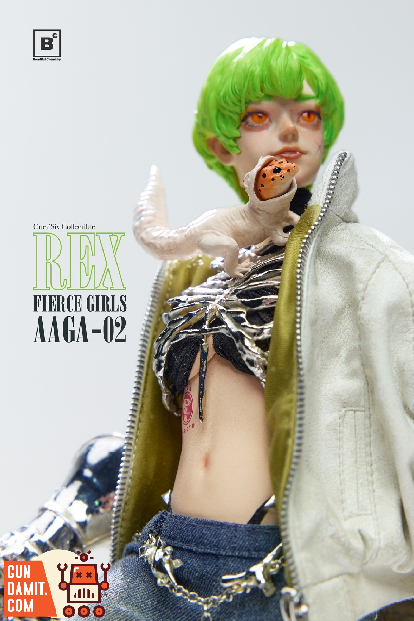 Beautiful Chemistry x Entei Ryu 1/6 UV202501 Fierce Girls