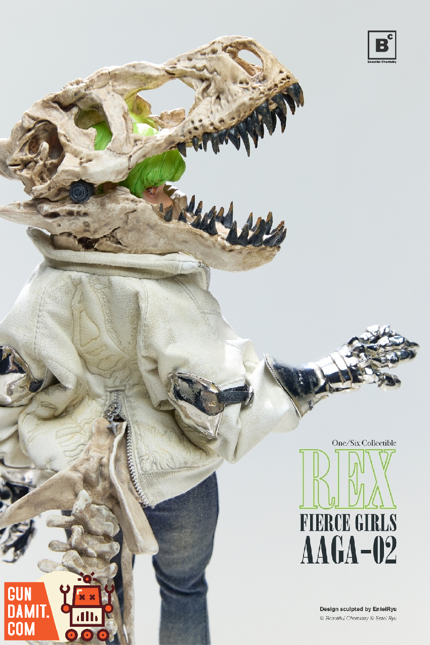 Beautiful Chemistry x Entei Ryu 1/6 UV202501 Fierce Girls