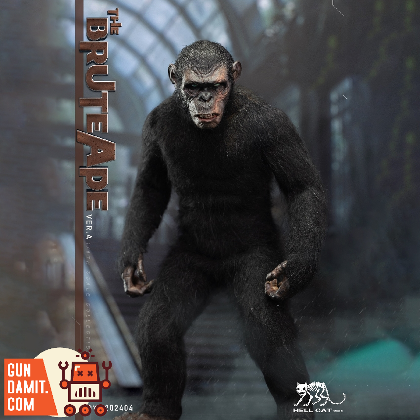 Reviews of Hell Cat 1/6 DYM202404A Ape Leader Regular Version