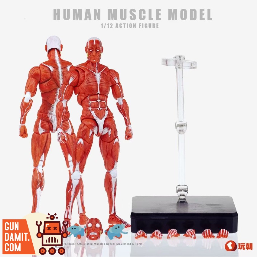 KEEPGOING 1/12 Human Muscle Model Super Movable Doll Red Color Version