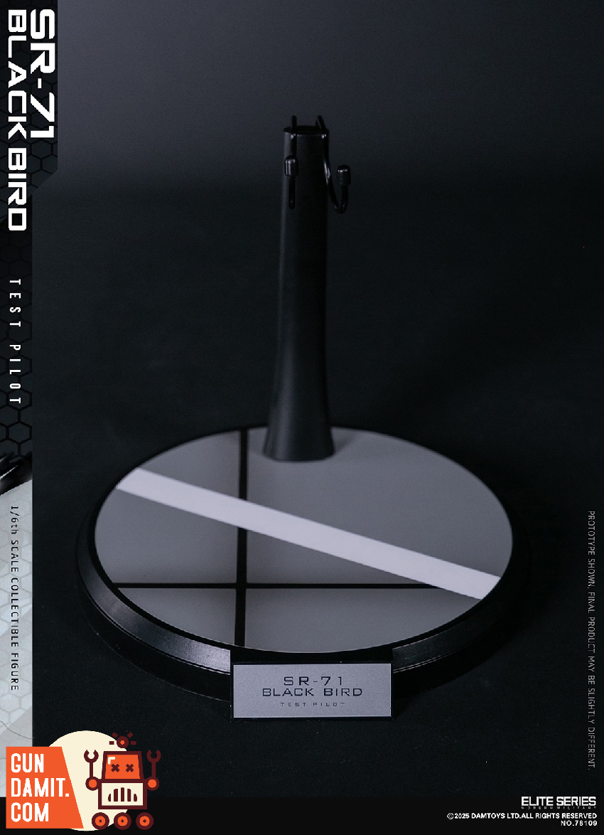 DAMTOYS 1/6 SR-71 Black Bird Test Pilot - GunDamit Store