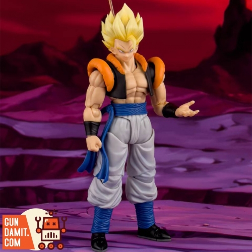 Demoniacal Fit 1/12 Combined Warrior Hero Waltz Gogeta 3.0