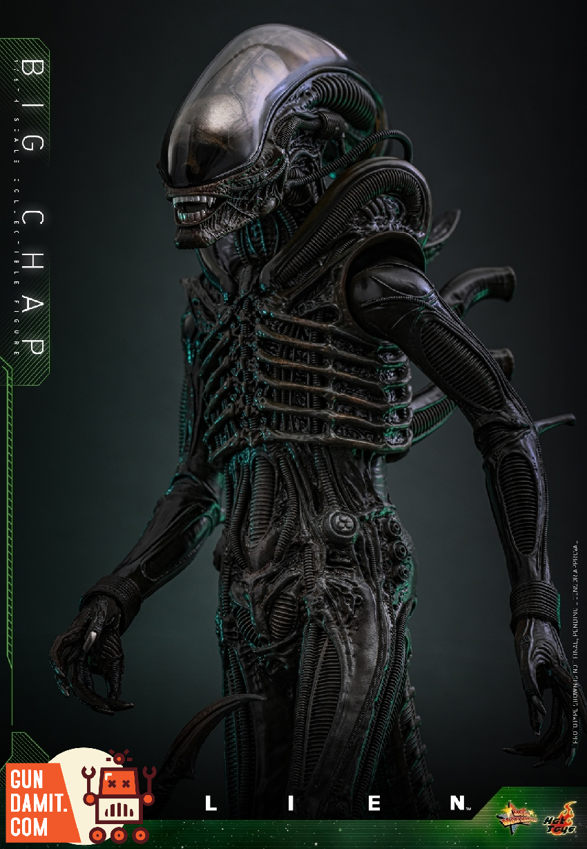 HotToys 1/6 MMS826B1 Alien Big Chap - GunDamit Store