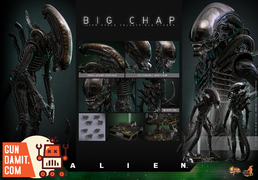 HotToys 1/6 MMS826B1 Alien Big Chap - GunDamit Store