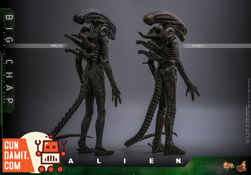 HotToys 1/6 MMS826B1 Alien Big Chap - GunDamit Store