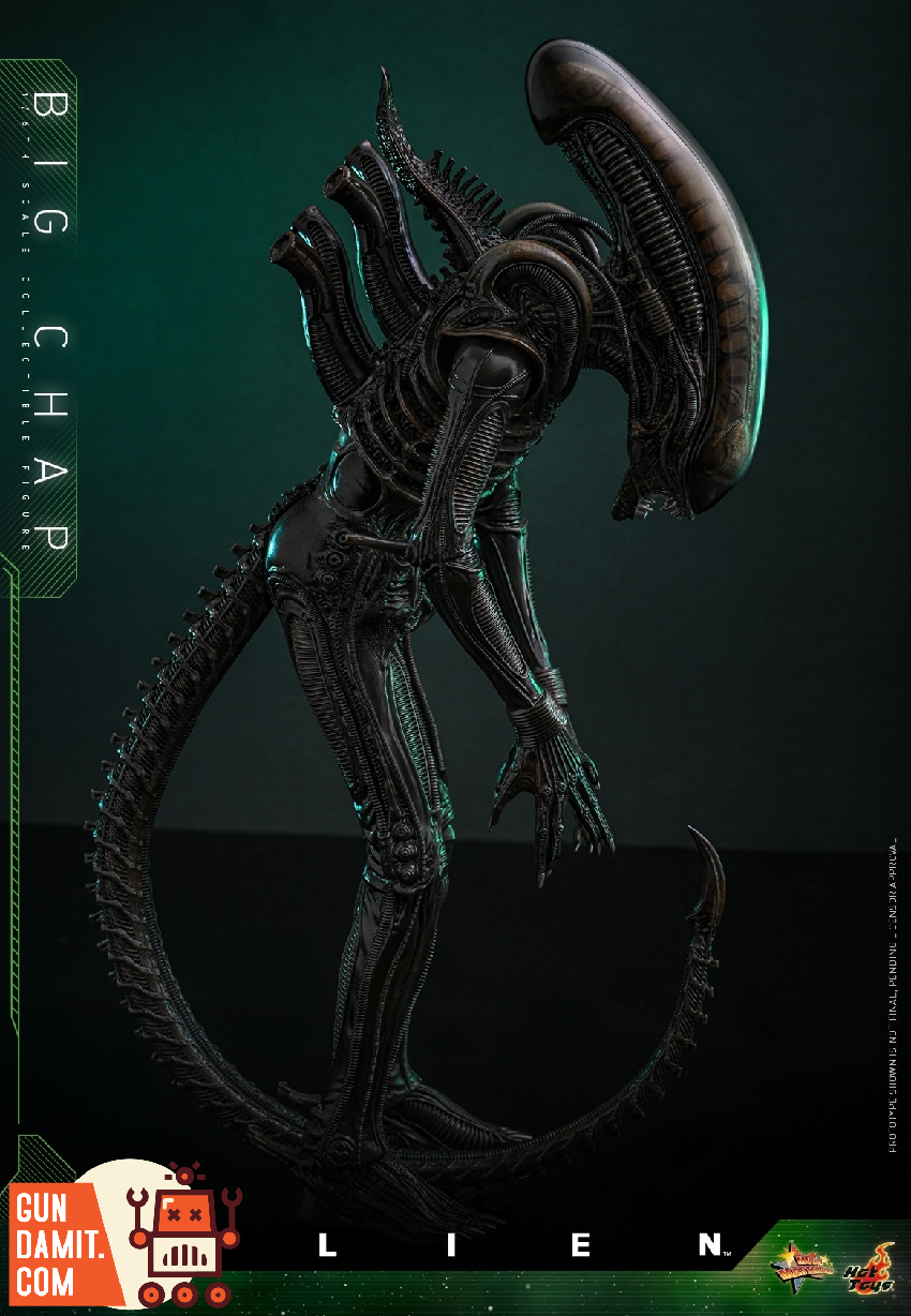 HotToys 1/6 MMS826B1 Alien Big Chap - GunDamit Store