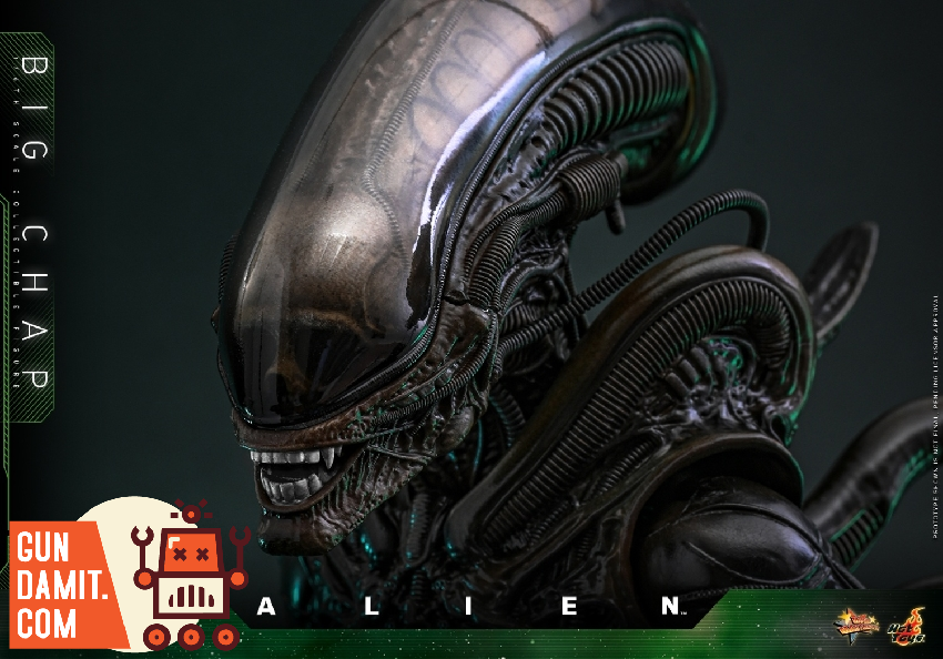 HotToys 1/6 MMS826B1 Alien Big Chap - GunDamit Store