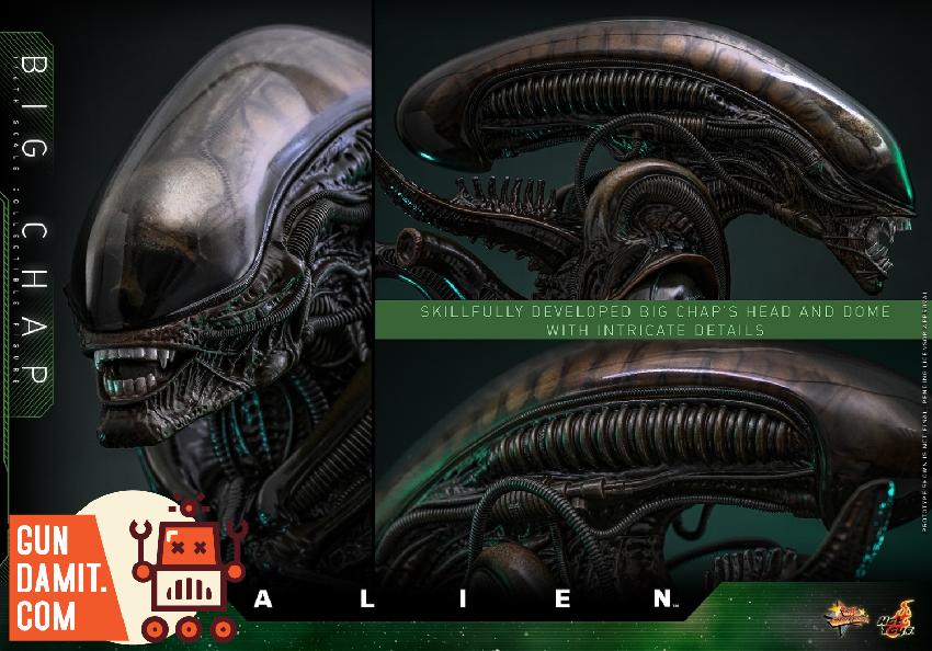 HotToys 1/6 MMS826B1 Alien Big Chap - GunDamit Store