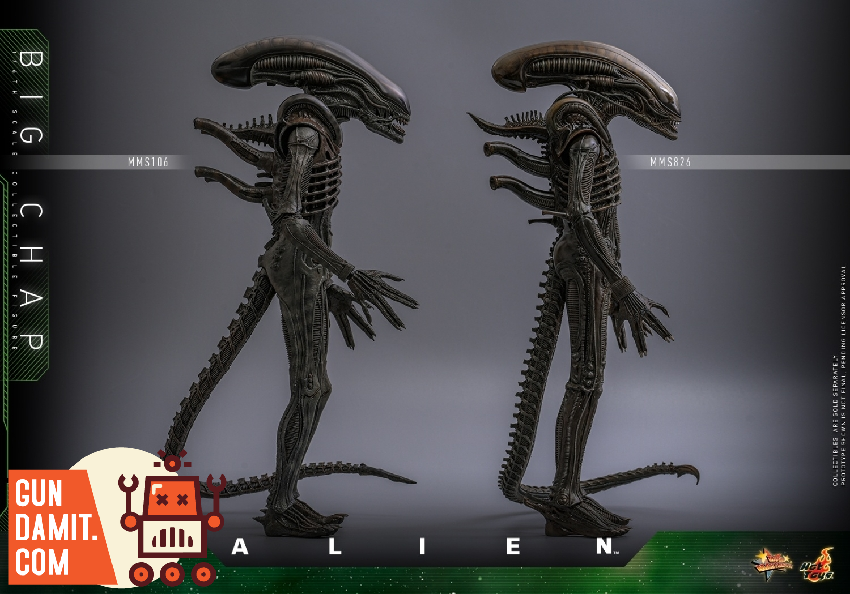 HotToys 1/6 MMS826B1 Alien Big Chap - GunDamit Store