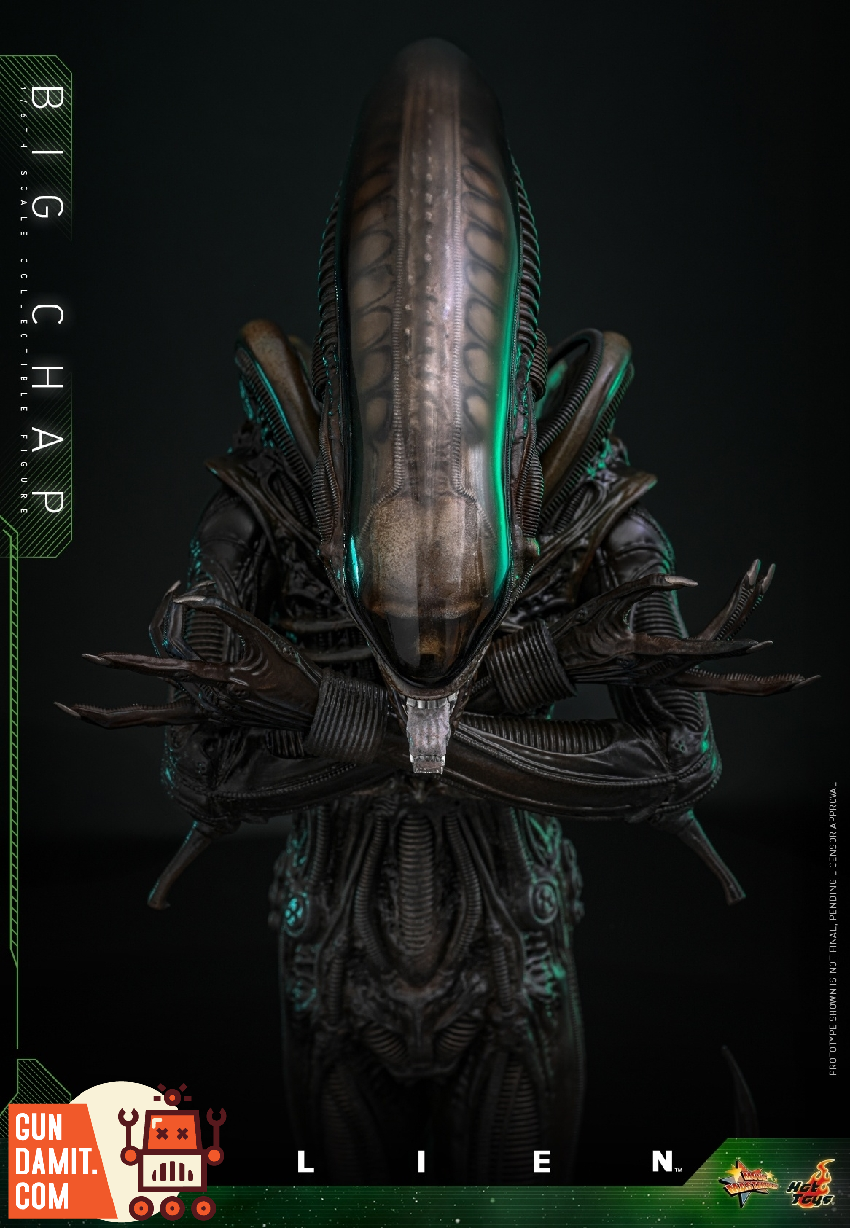 HotToys 1/6 MMS826B1 Alien Big Chap - GunDamit Store