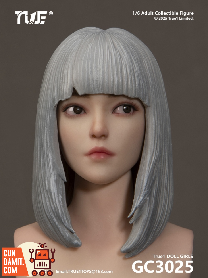 True1Toys 1/6 GC3025 Jointed Female Doll Basic Set Grey Hair with