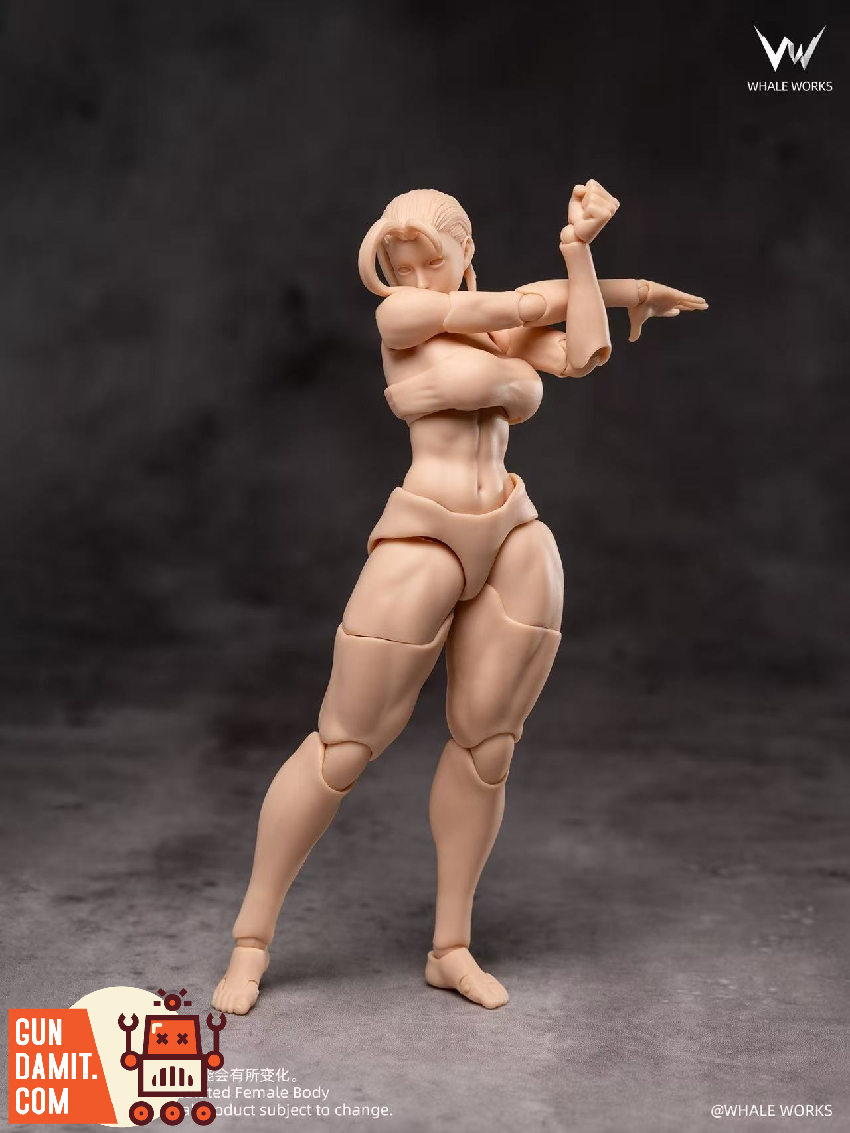 Whale Works WW02-B RIN 1/12 超可動女性素体 Whale Works 1/12 WW02-B Super Articulated Rin | GunDamit.com