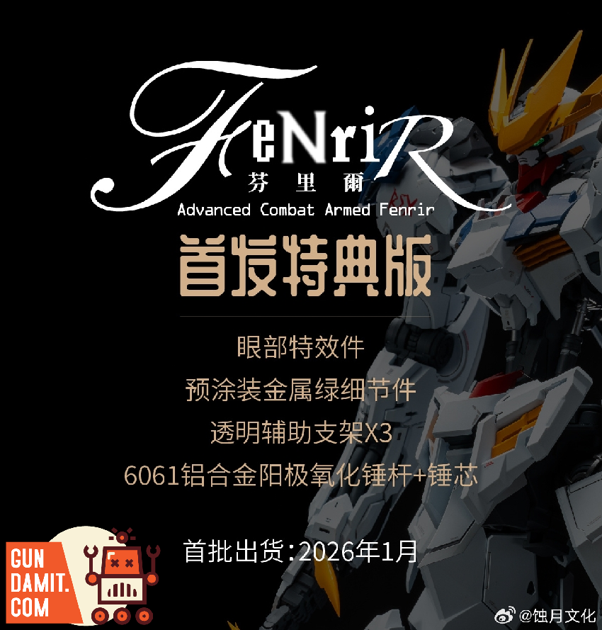 Lunavor 1/100 XY-01 Fenrir Wolf King Model Kit - GunDamit Store
