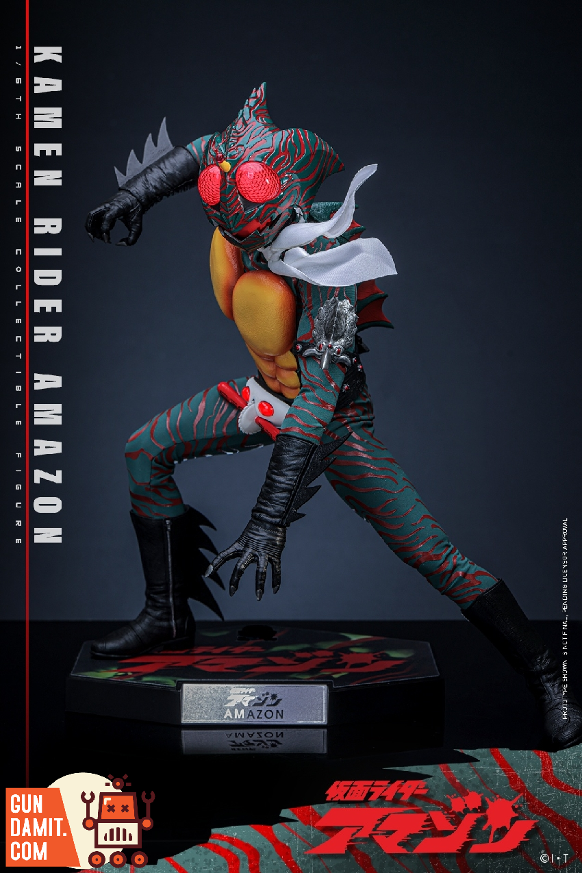 Hot Toys 1/6 TMS184 Kamen Rider Amazon Figure | GunDamit.com