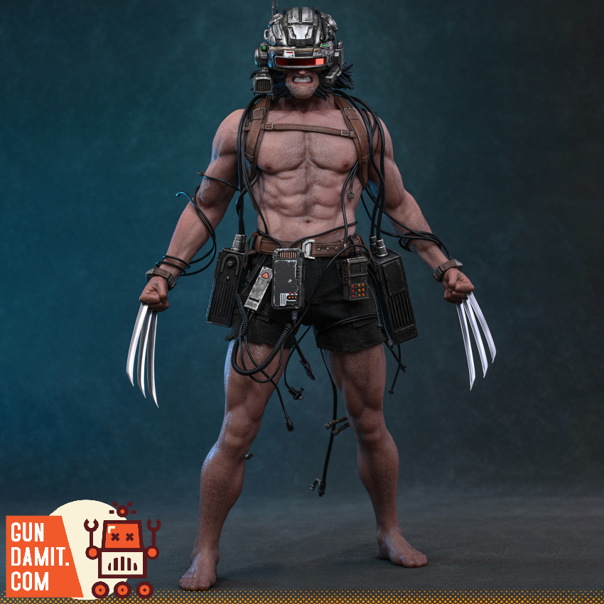[Pre-Order] HotToys 1/6 CMS034 Marvel Comics Weapon X Logan Wolverine