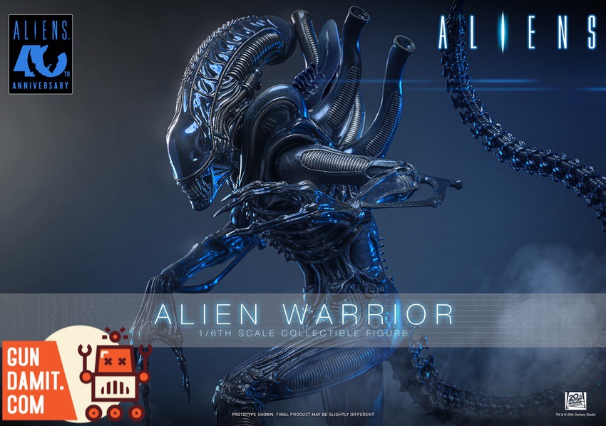 HotToys 1/6 MMS898 Aliens Alien Warrior - Gundamit Store